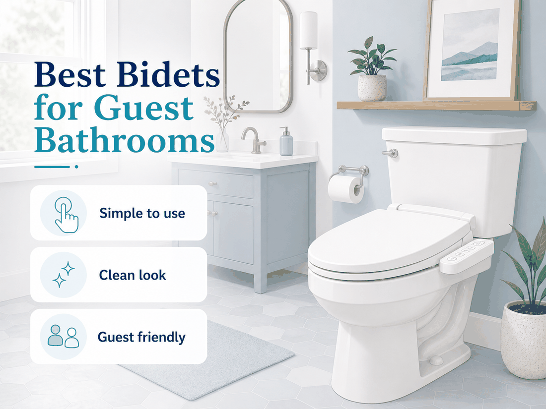 Guest bathroom bidet setup illustration